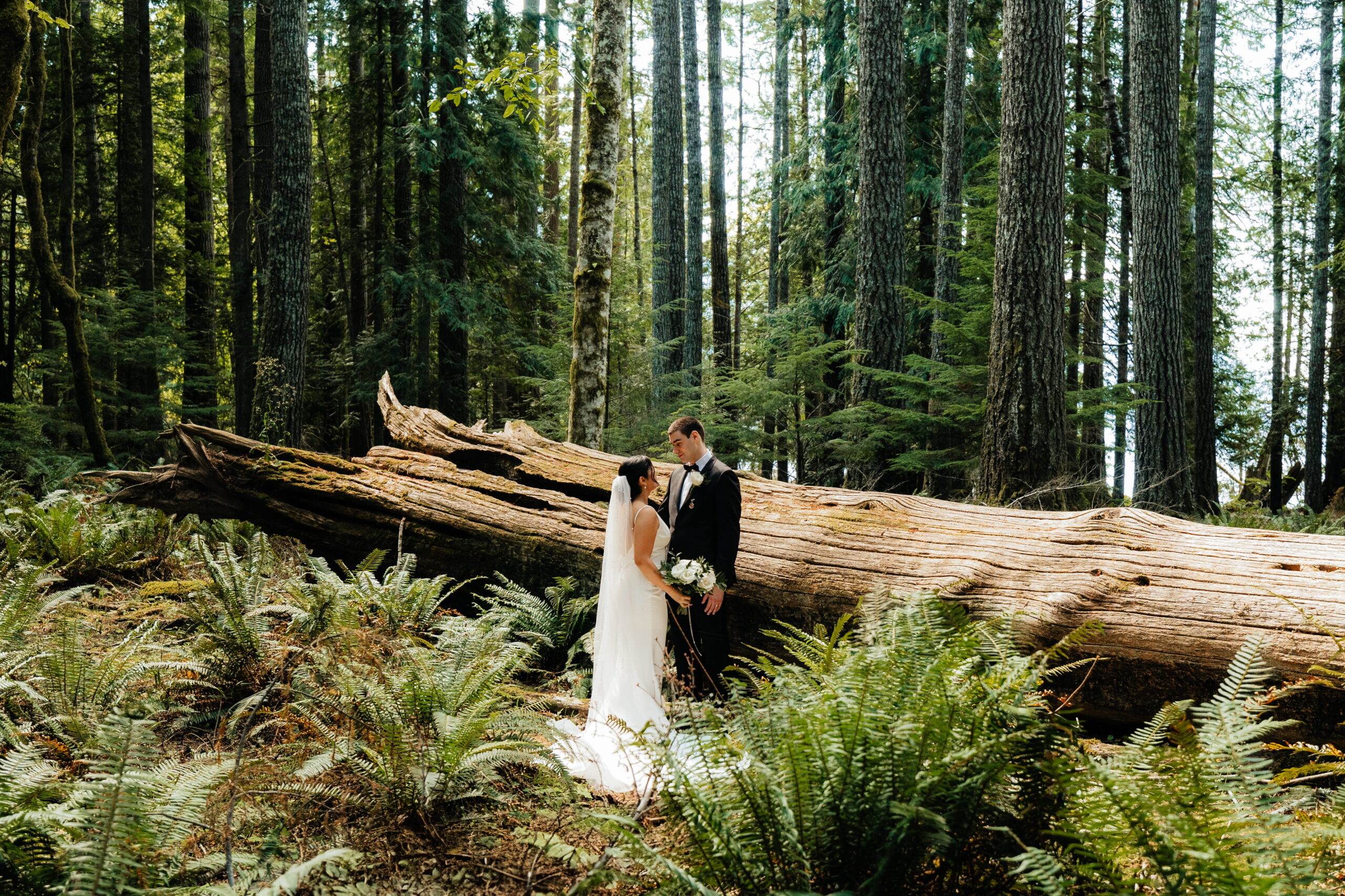 Bride and groom stand by a fallen tree in the Hoh Rainforest, one of the best places to elope in Washington.