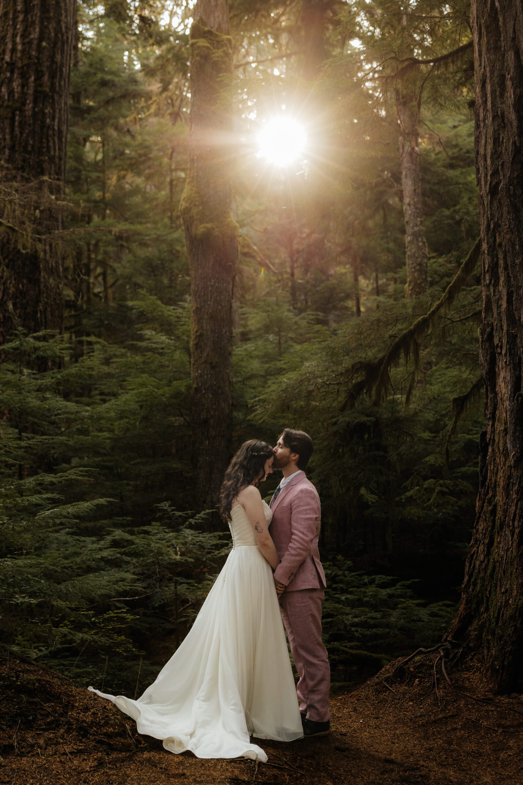 Groom kisses bride on the forehead while the light shines through the Douglas Fir trees at Twin Firs Loop Trail. 
