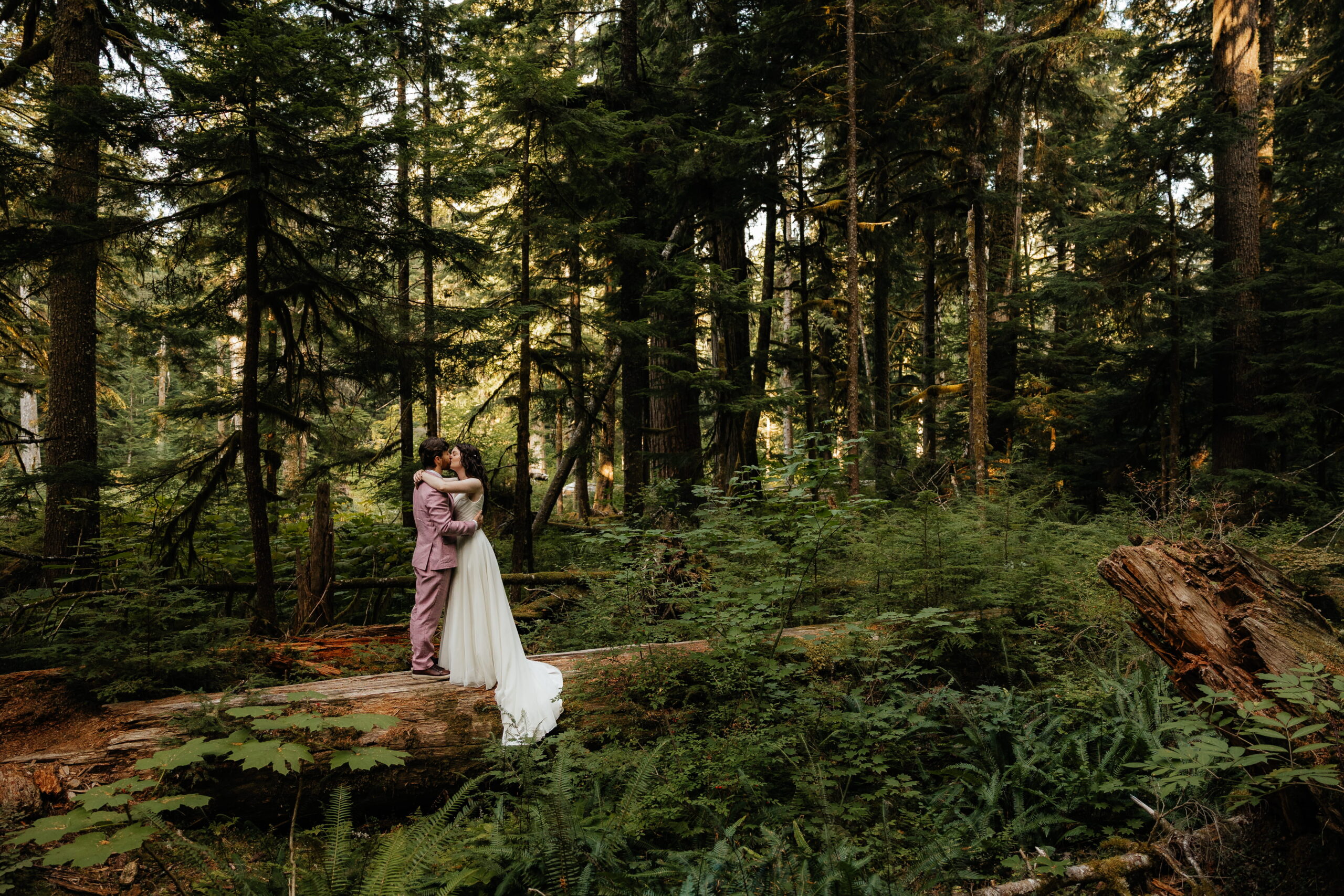 Newlyweds kiss on a fallen log during their Mt Rainier elopement on Twin Firs Loop Trail. 