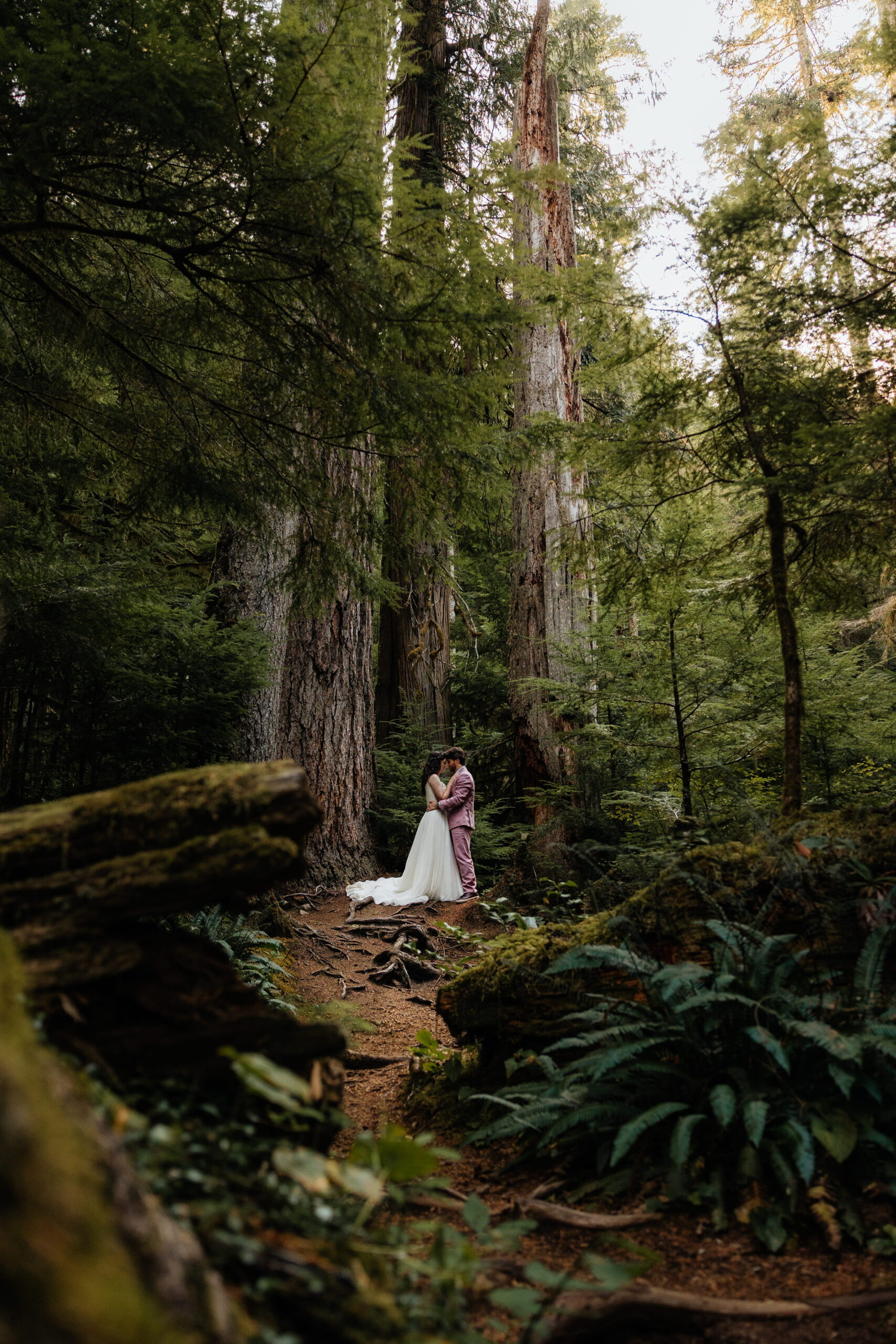 Newlyweds hug under a grove of Douglas firs during their elopement on Twin Firs Loop Trail in Washington.