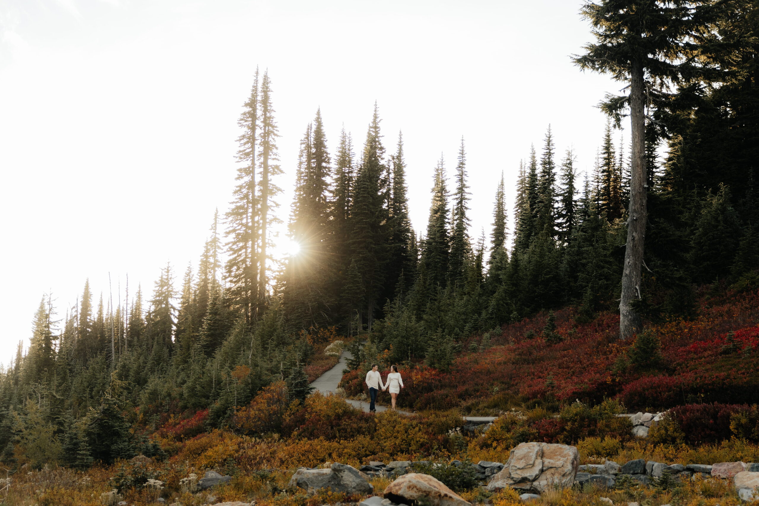 Couple holds hands while walking trail at Mt. Rainier National Park during autumn.
